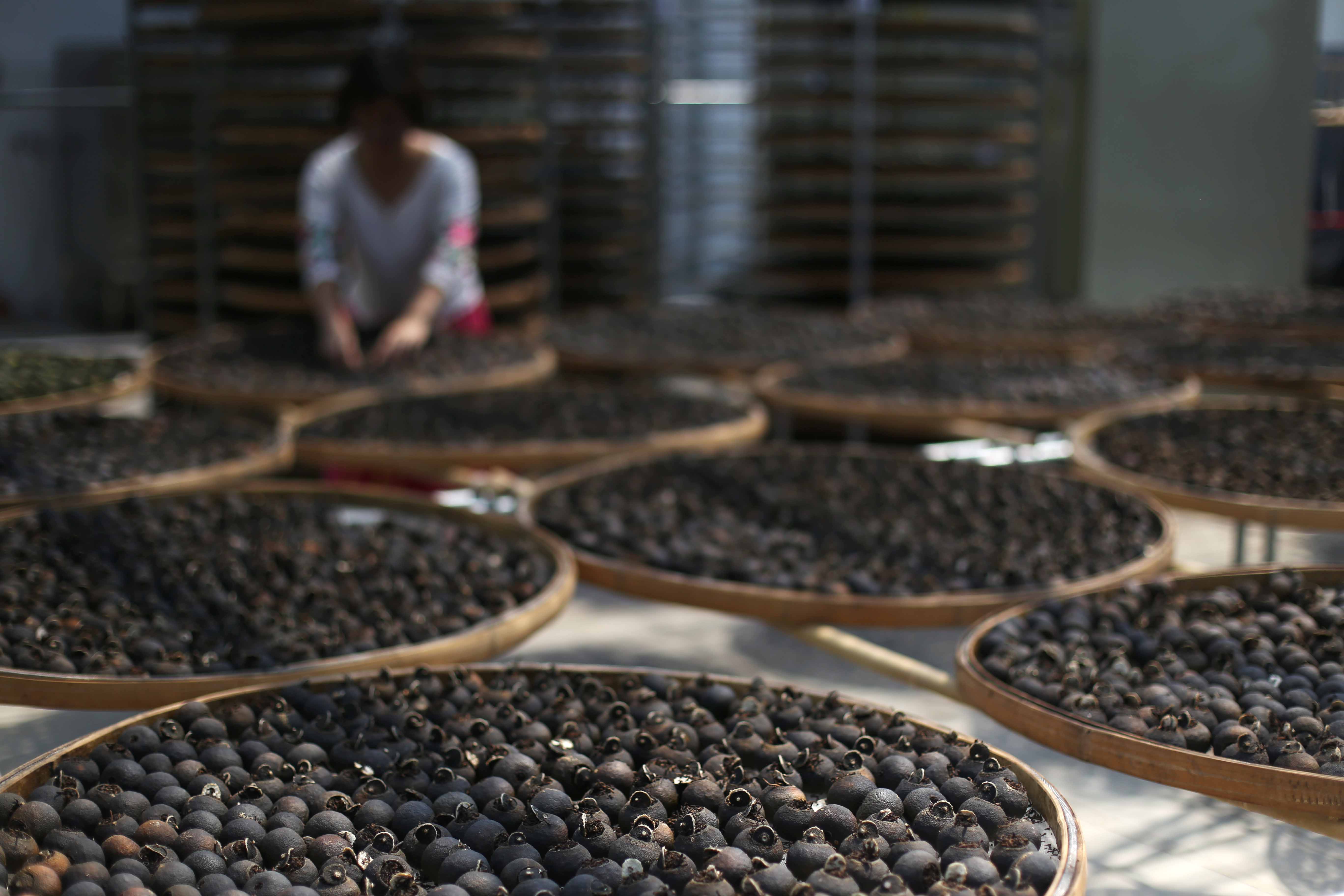 做小青柑用什么原料,做小青柑选择哪种茶叶