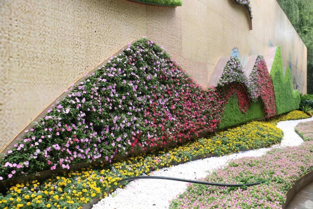 西安网红花墙美景,西安港风拍照圣地