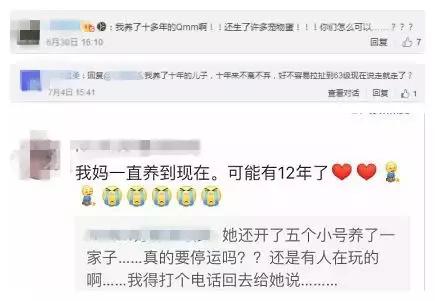 腾讯qq宠物下线,腾讯关闭qq宠物