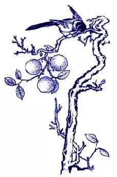 中国传统吉祥喜庆图案设计,中国传统吉祥图案全集寓意深远