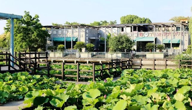 上海观景赏荷,7月赏荷花好去处