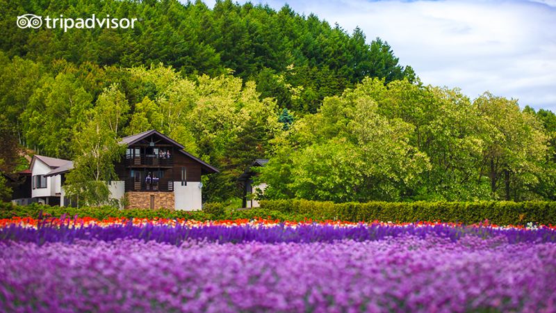 去港澳旅游不用签证,香港旅游攻略需要通行证
