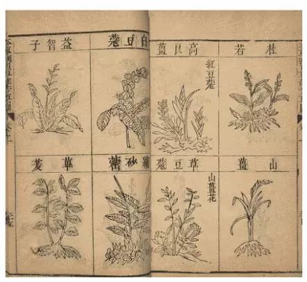 500年前的神仙,500年前的神医