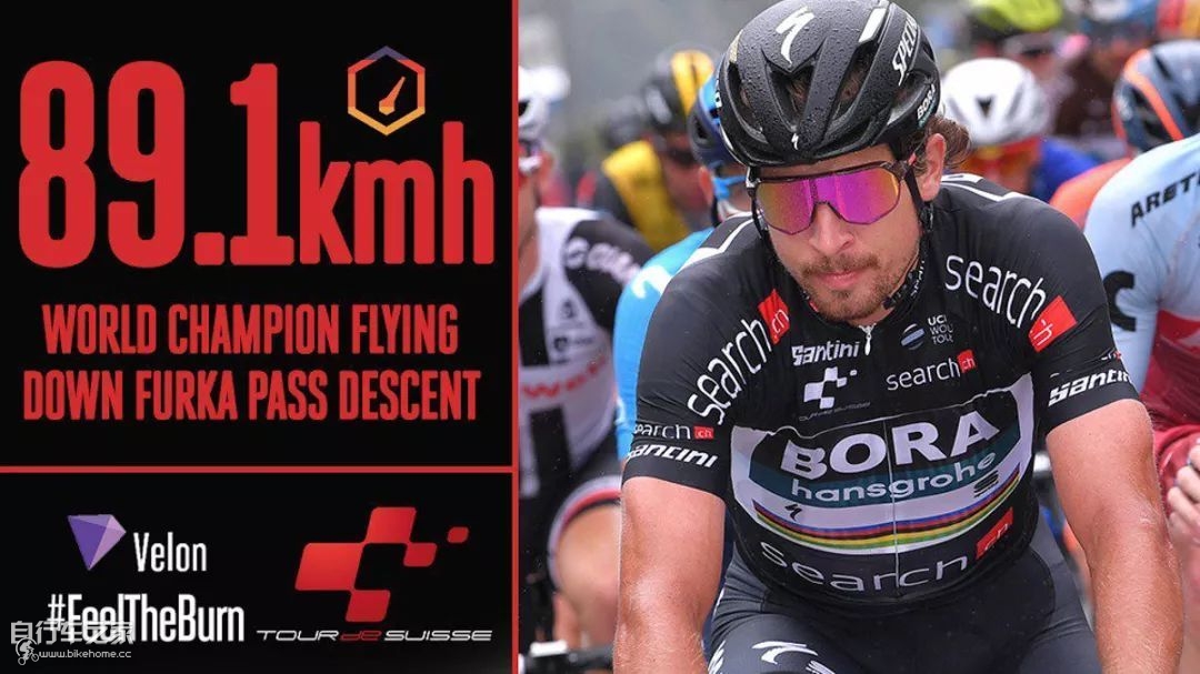 博拉车队什么水平,博拉车队