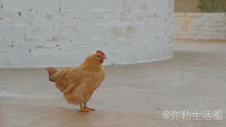 弥勒最超文艺的食堂,弥勒人气最旺的餐厅