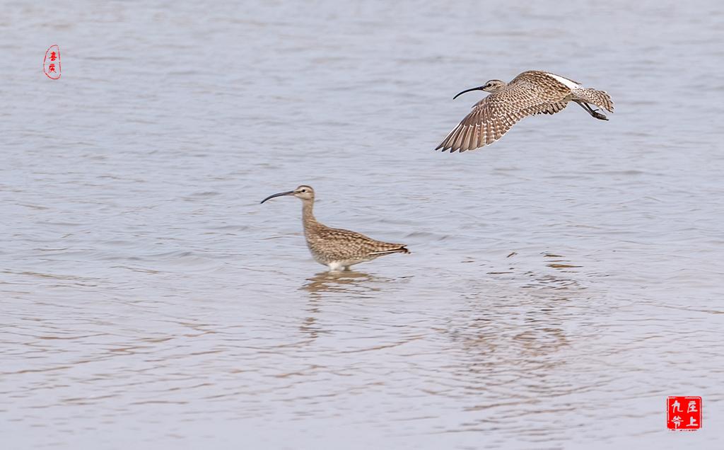最大的玉佛在哪个位置,亚洲第一大铜佛在哪里