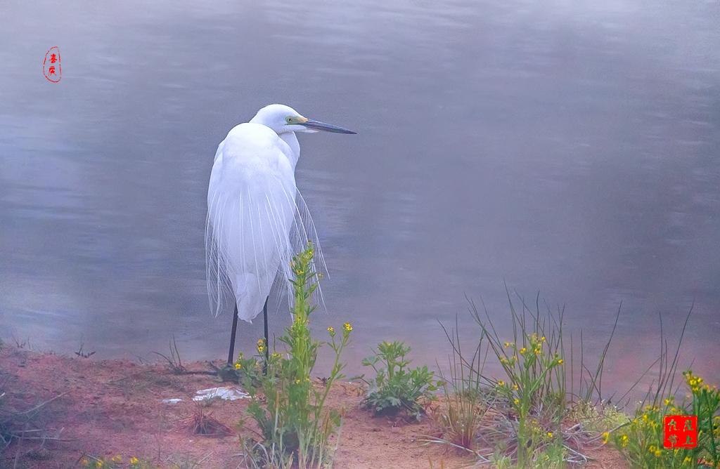 最大的玉佛在哪个位置,亚洲第一大铜佛在哪里