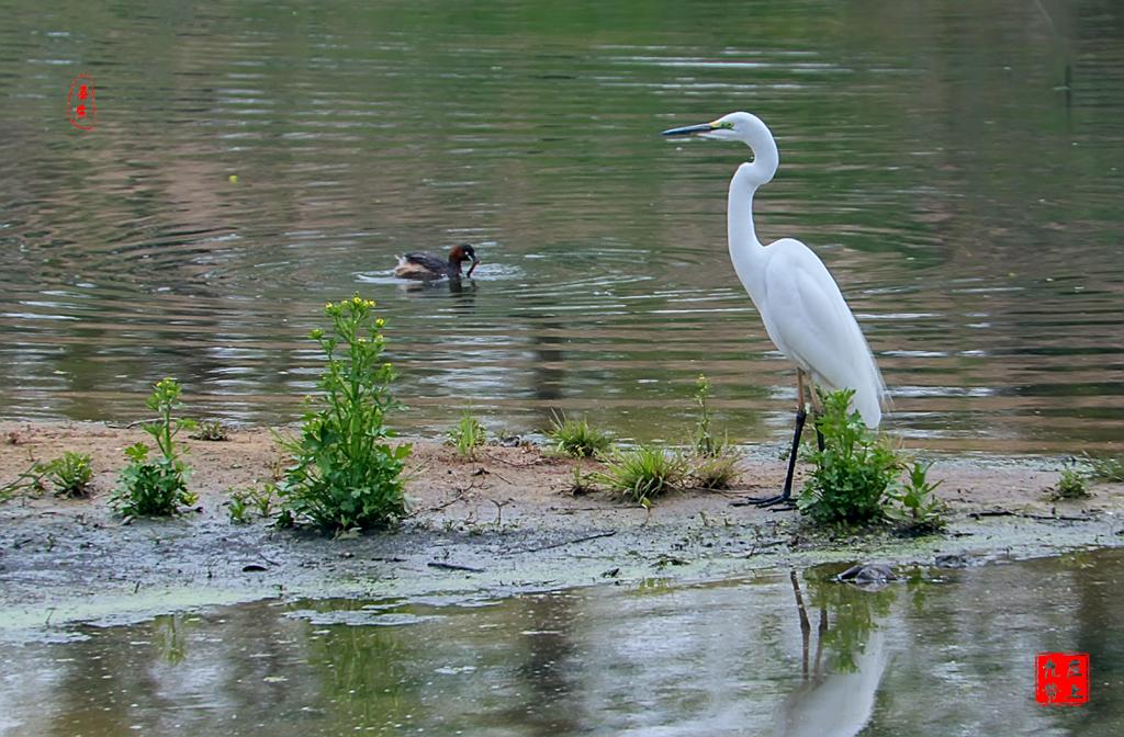 最大的玉佛在哪个位置,亚洲第一大铜佛在哪里