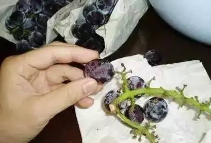 葡萄皮和籽别再扔掉,葡萄皮里面有虫子