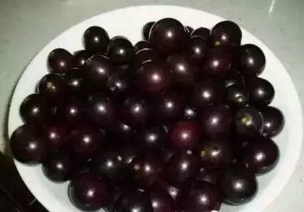 葡萄皮和籽别再扔掉,葡萄皮里面有虫子
