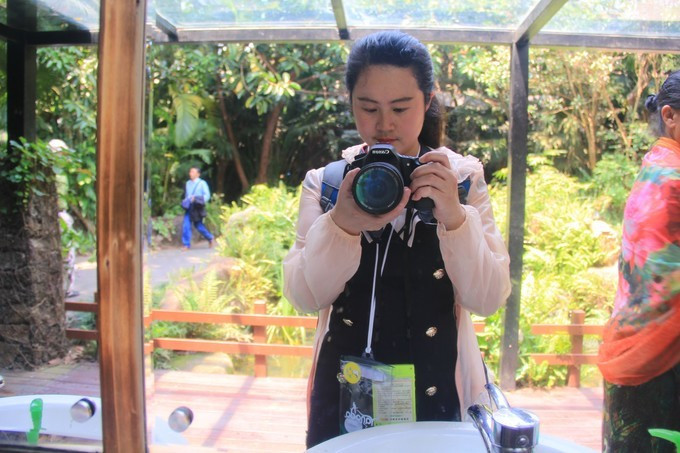 恋上这片海，一个人绚丽多彩的三亚自由行