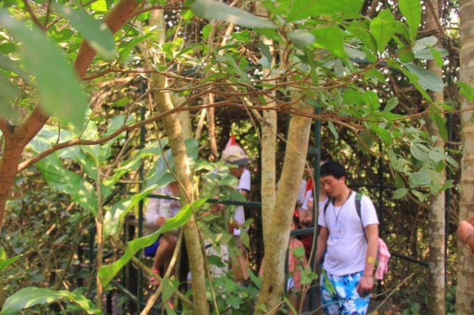 恋上这片海，一个人绚丽多彩的三亚自由行