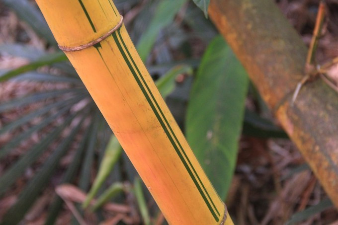 恋上这片海，一个人绚丽多彩的三亚自由行