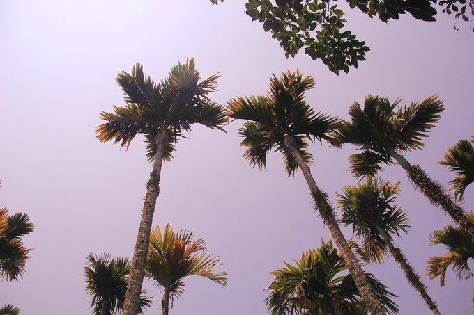 恋上这片海，一个人绚丽多彩的三亚自由行