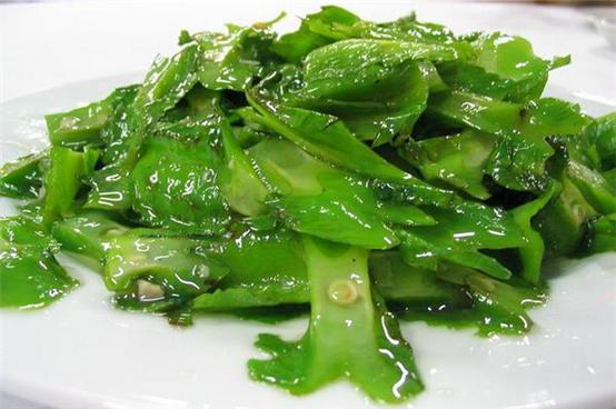 恋上这片海，一个人绚丽多彩的三亚自由行