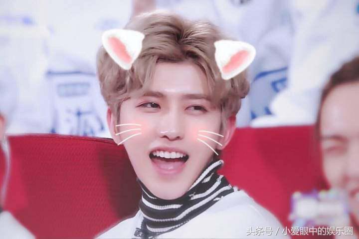 专业人士评价蔡徐坤的颜值,2018蔡徐坤正脸照片