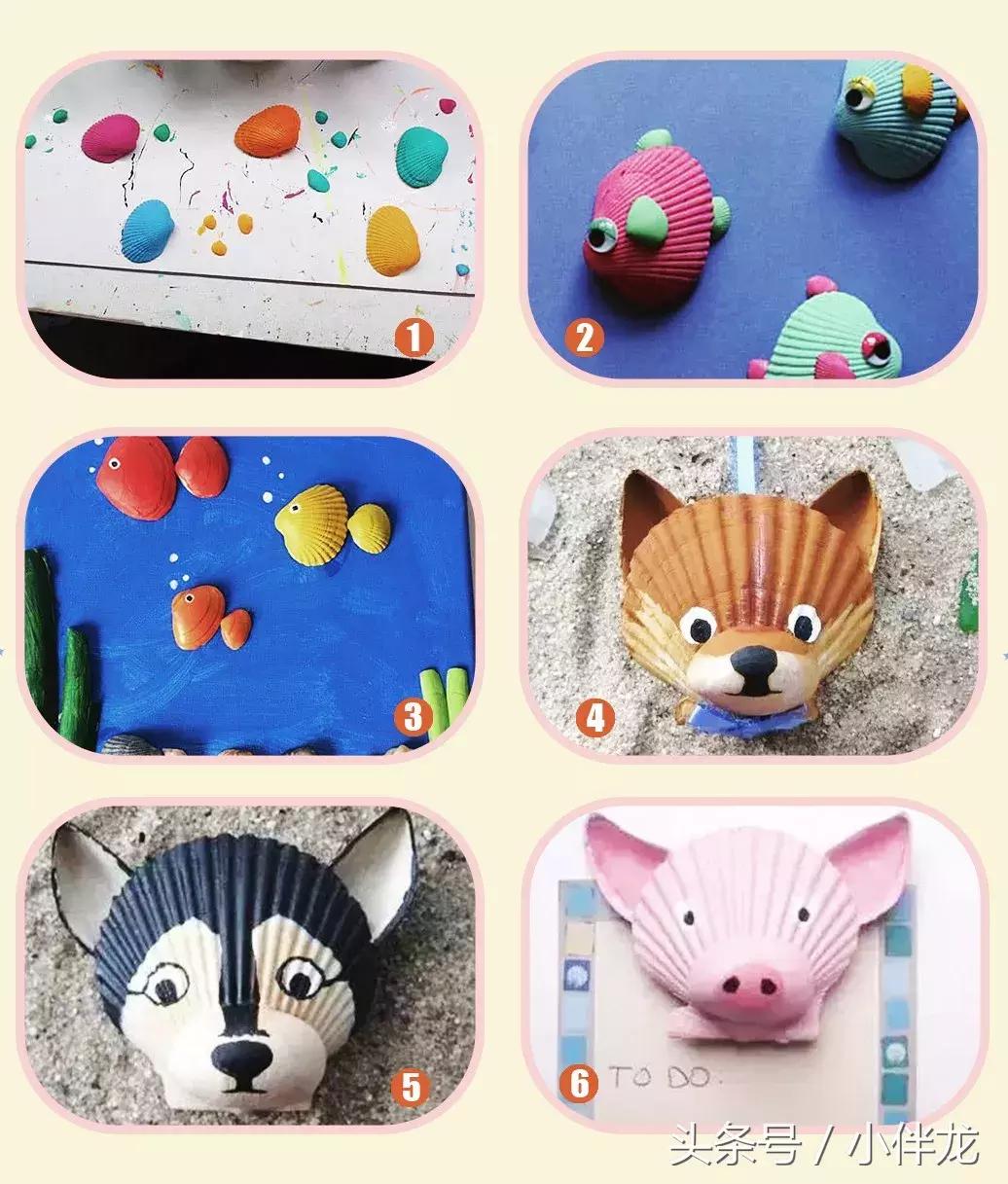去海边捡的贝壳怎么做,去海边捡贝壳做手工