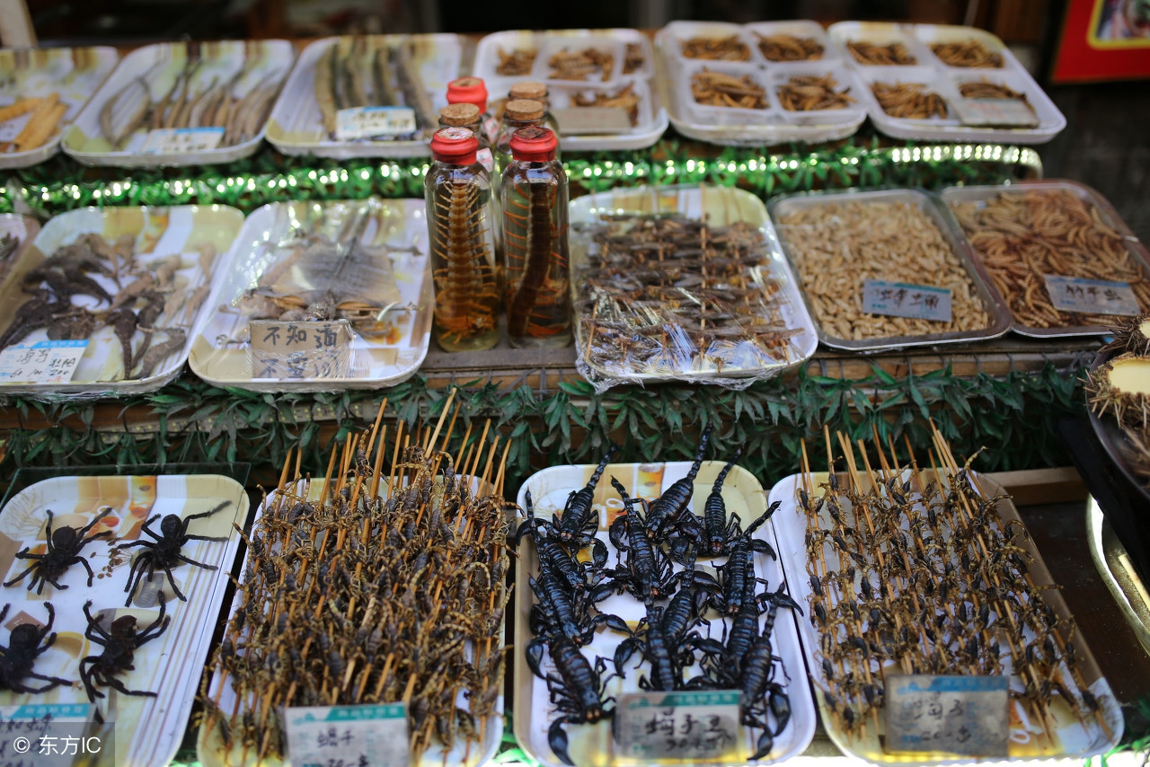 蝎子可以吃什么常见的昆虫,有哪些昆虫可以用来烧烤