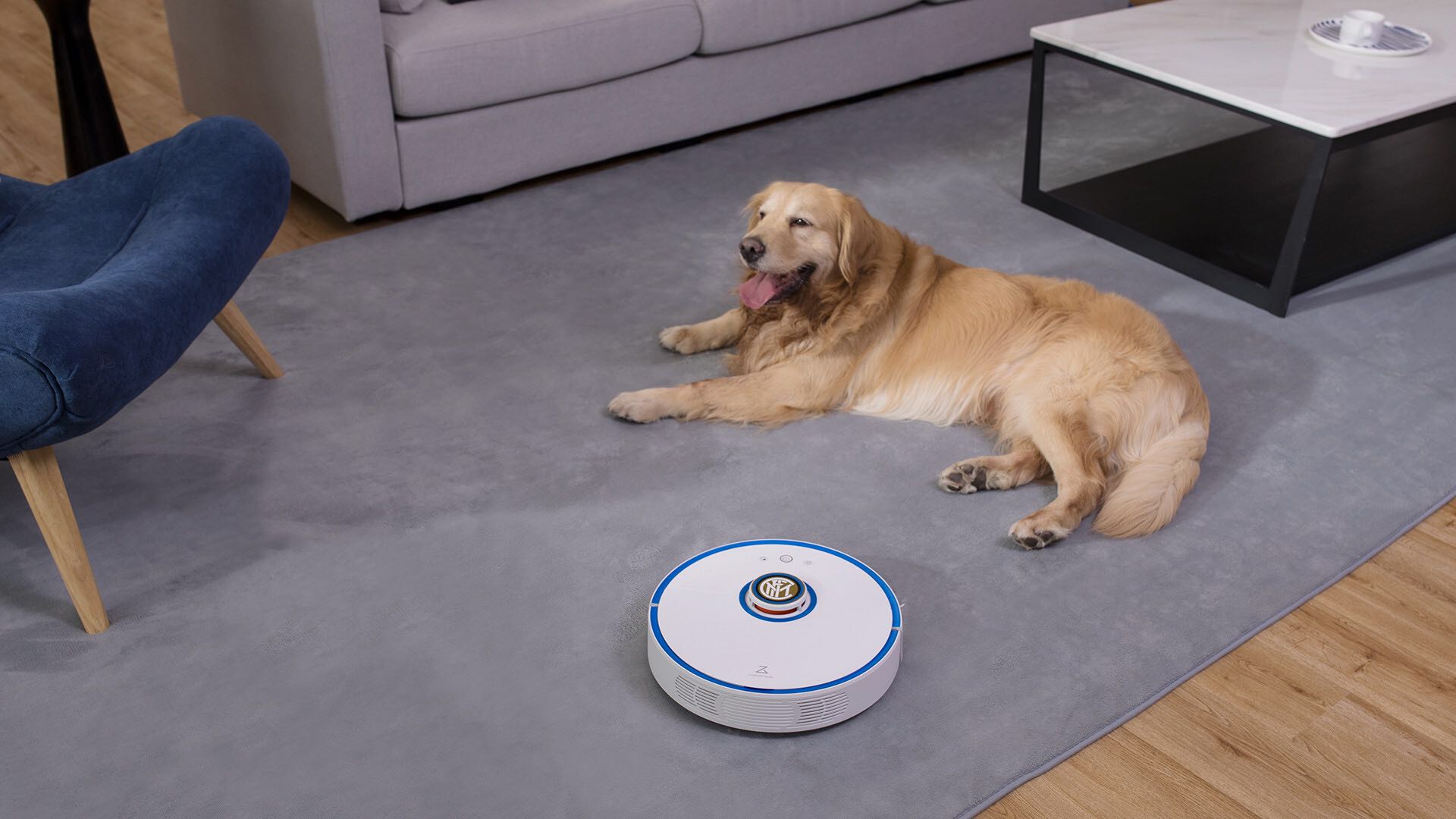 小米扫地机器人全自动智能扫地机,石头小米生态扫地机器人