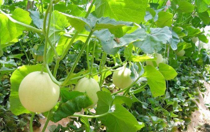 沈阳五一旅游攻略玩水,沈阳冬天周边游玩攻略