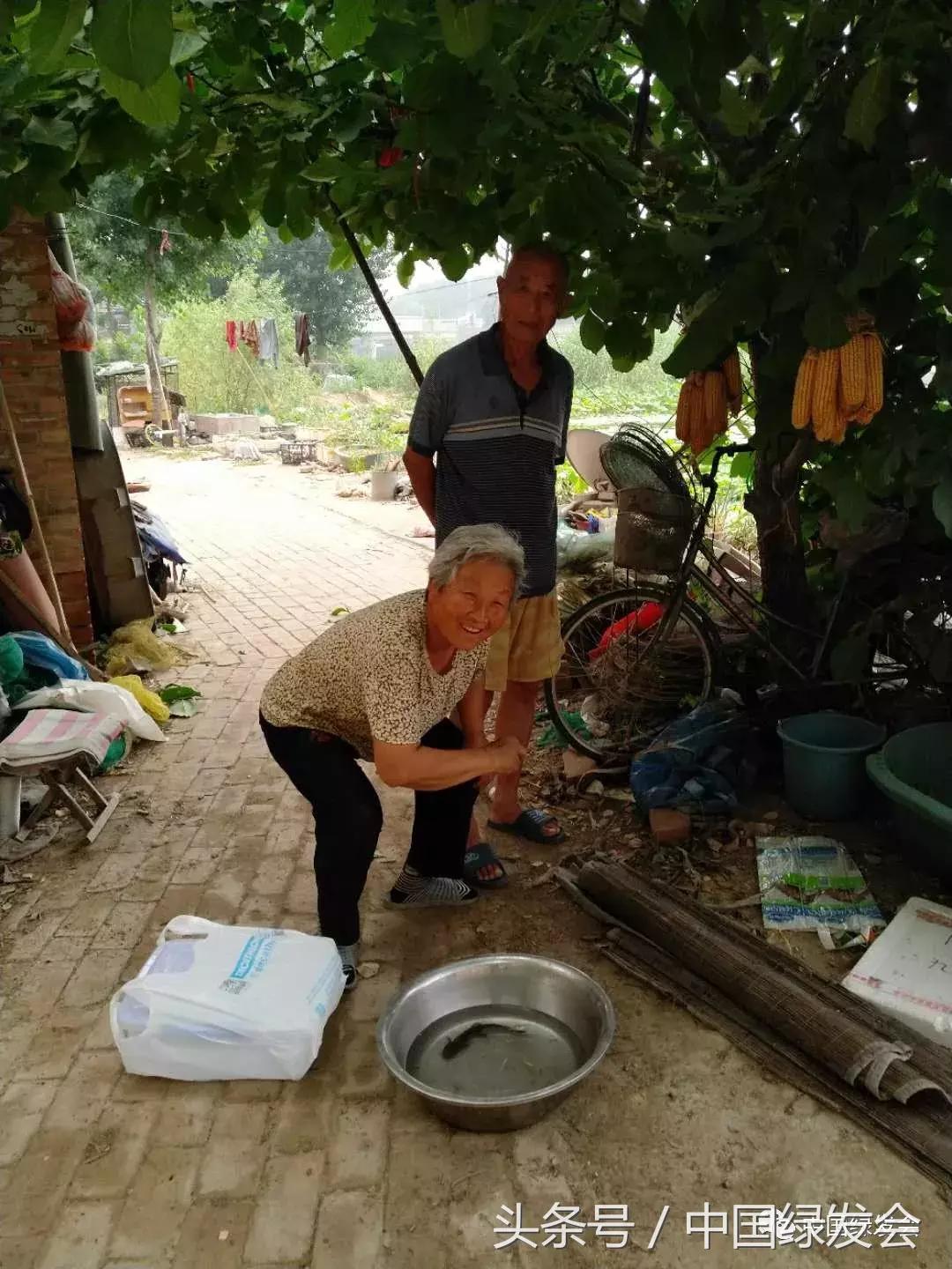 误钻地笼侥幸被救的“六角龙”，背后竟还有这样的遭遇……