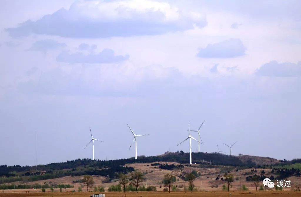 「“渡过”家长群上海线下活动」专题：精神障碍的鉴别和诊断