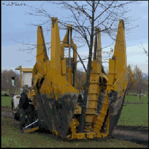 7月10日，来天津大学感受真正的德国制造！