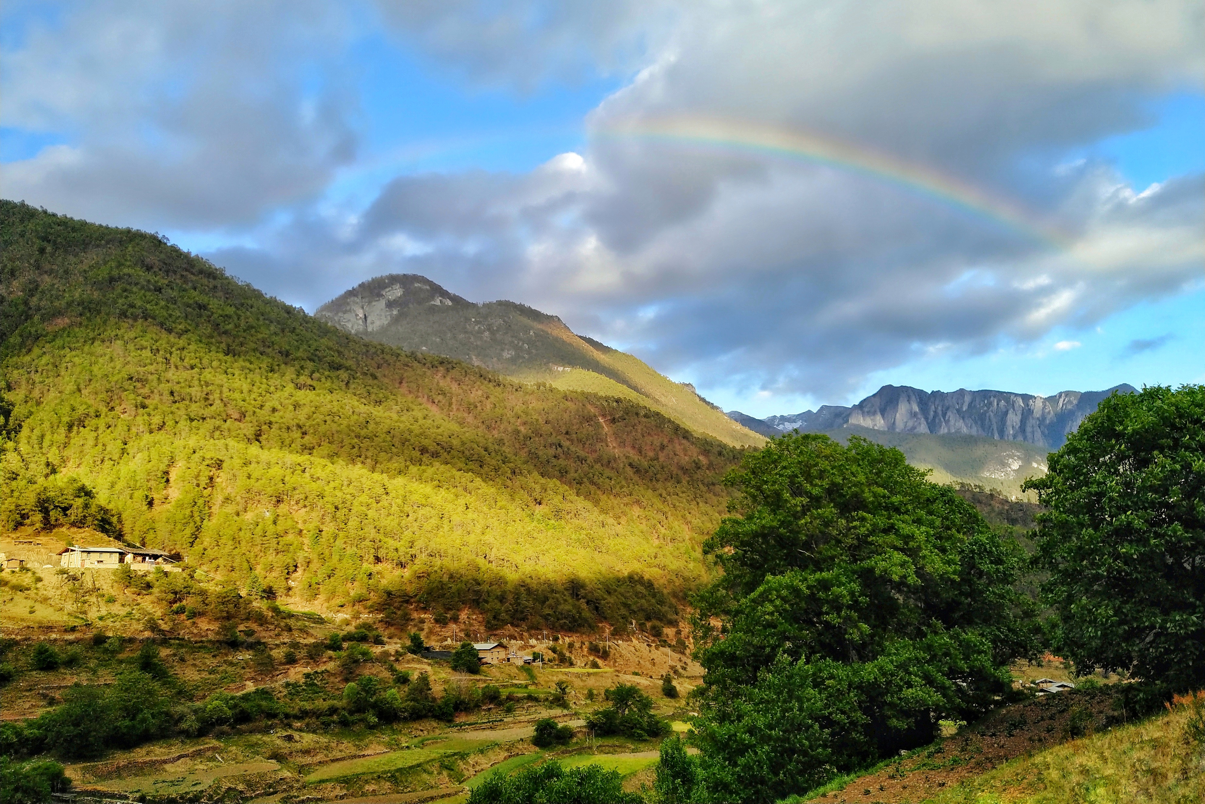 强迫症治疗一次需要多少钱,强迫症治疗一年费用多少