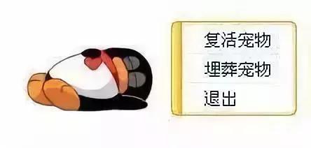 QQ宠物停运|“主人你要好好的,我先走了”