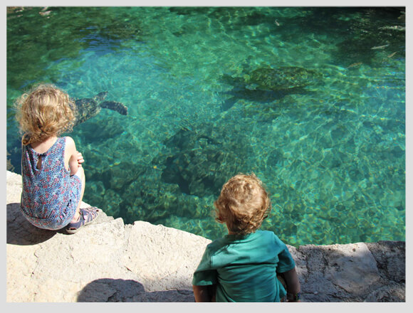 带父母旅游攻略自驾游,带父母旅游攻略三天