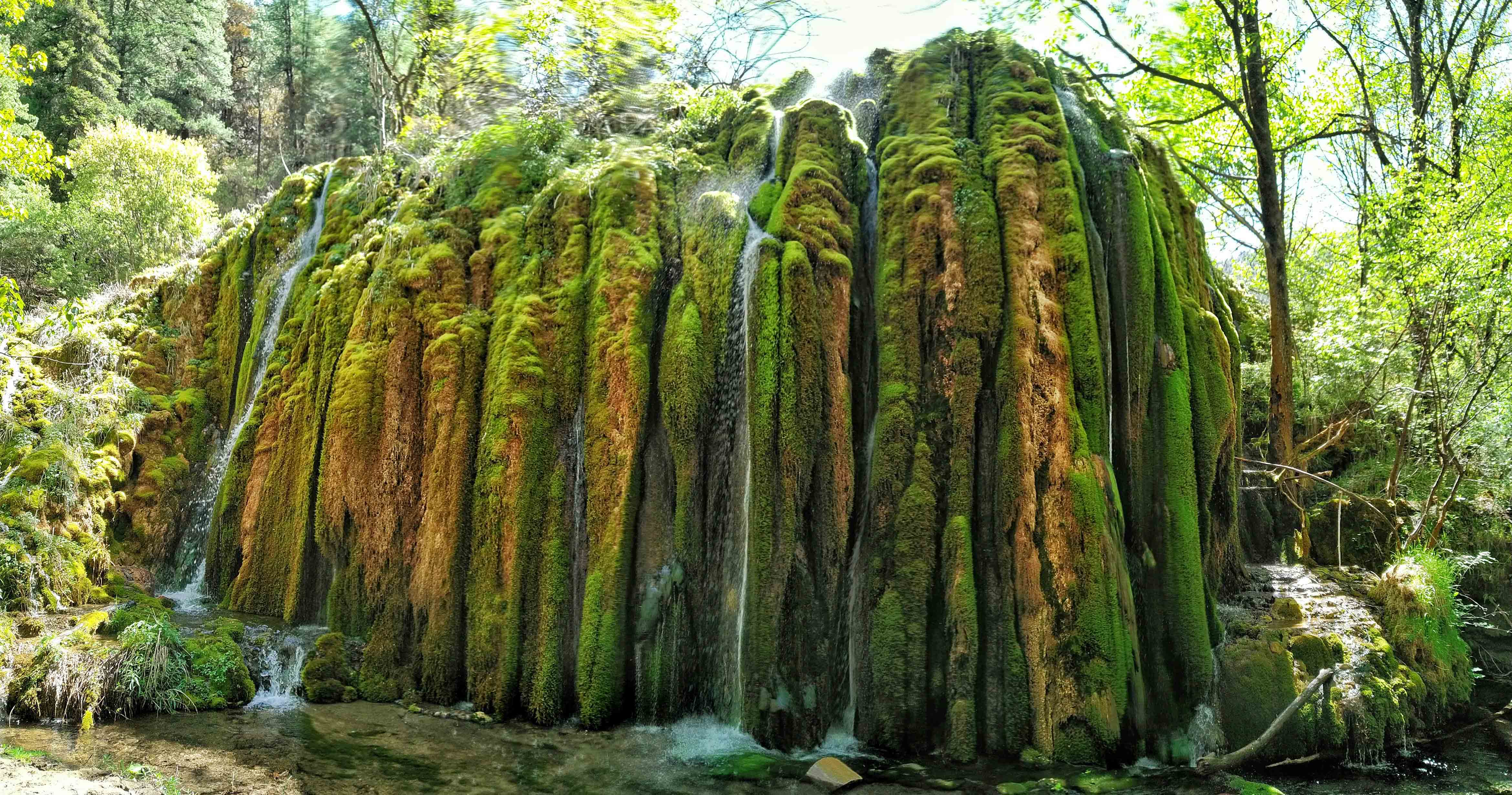 强迫症治疗一次需要多少钱,强迫症治疗一年费用多少