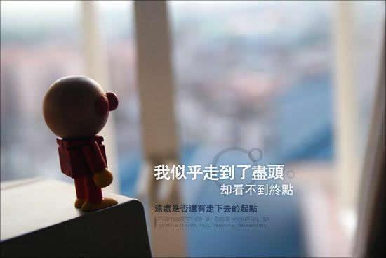 QQ宠物停运|“主人你要好好的,我先走了”