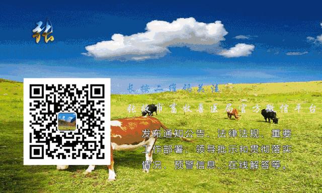 分娩母猪大出血怎么输液,母猪产前大出血怎么治疗