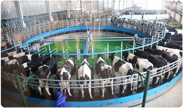 现在的奶粉竞争力这么高吗,中国奶粉已经登顶世界高峰