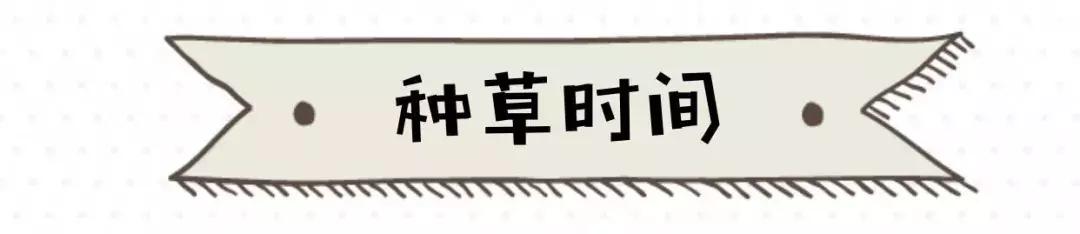 8款超好用的定妆散粉,让你的妆容从早到晚都精致!
