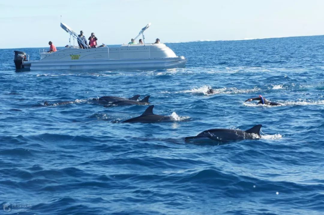 毛里求斯攻略,毛里求斯游玩全攻略