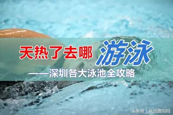深圳十大游泳池,深圳游泳池室内