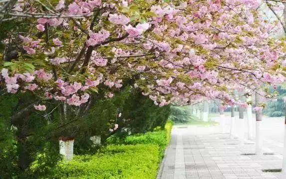 陕西高校｜来到陕师大，一起做最亮的闪star吧！