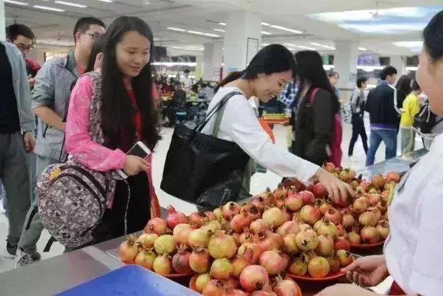 陕西高校｜来到陕师大，一起做最亮的闪star吧！