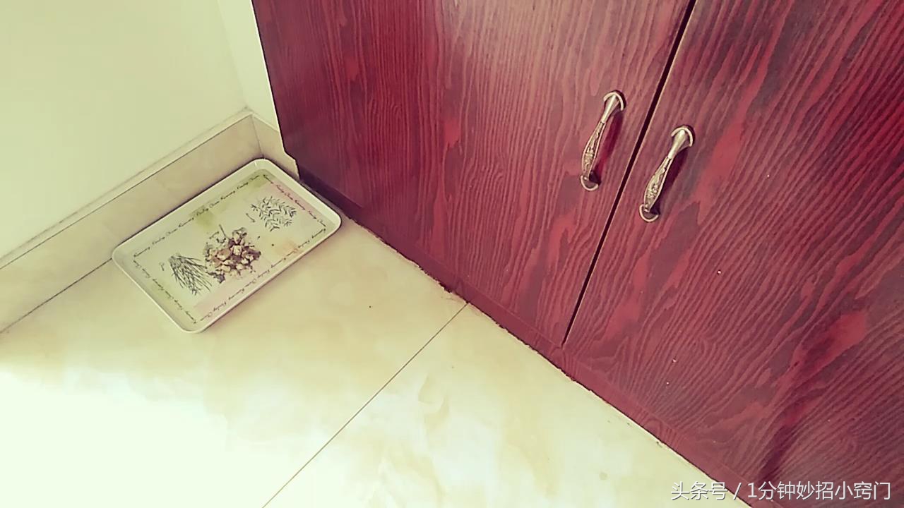 不用老鼠药就能灭鼠的方法,不用老鼠药怎么灭老鼠的绝招