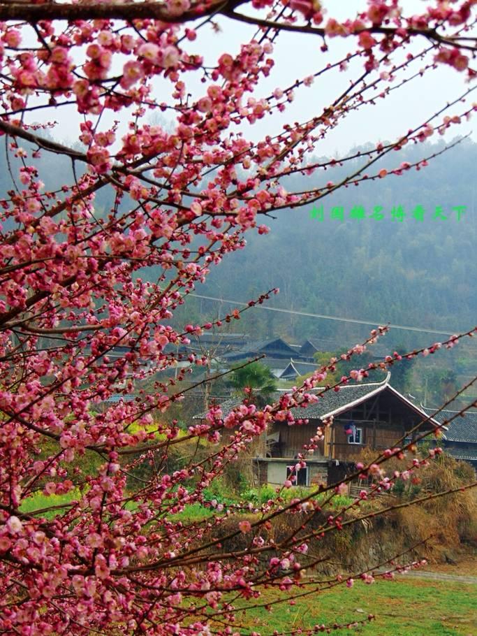 江南第一村高椅古村,湖南高椅古村旅游