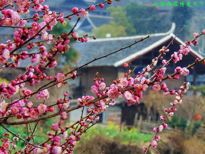 江南第一村高椅古村,湖南高椅古村旅游