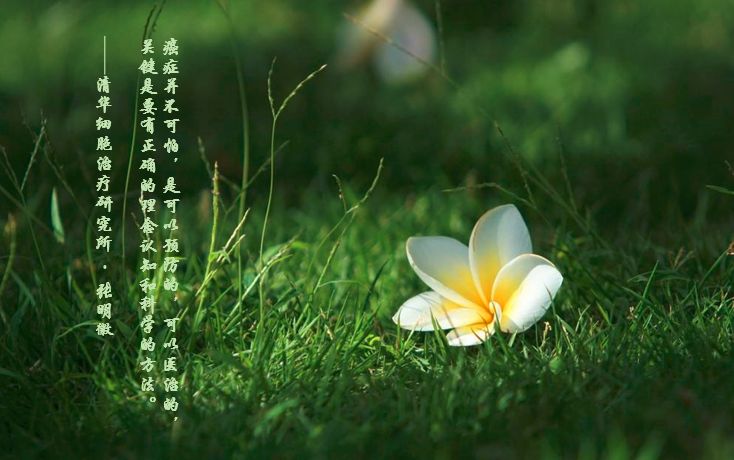 胃癌nk治疗多少钱,胃癌ncaa指南