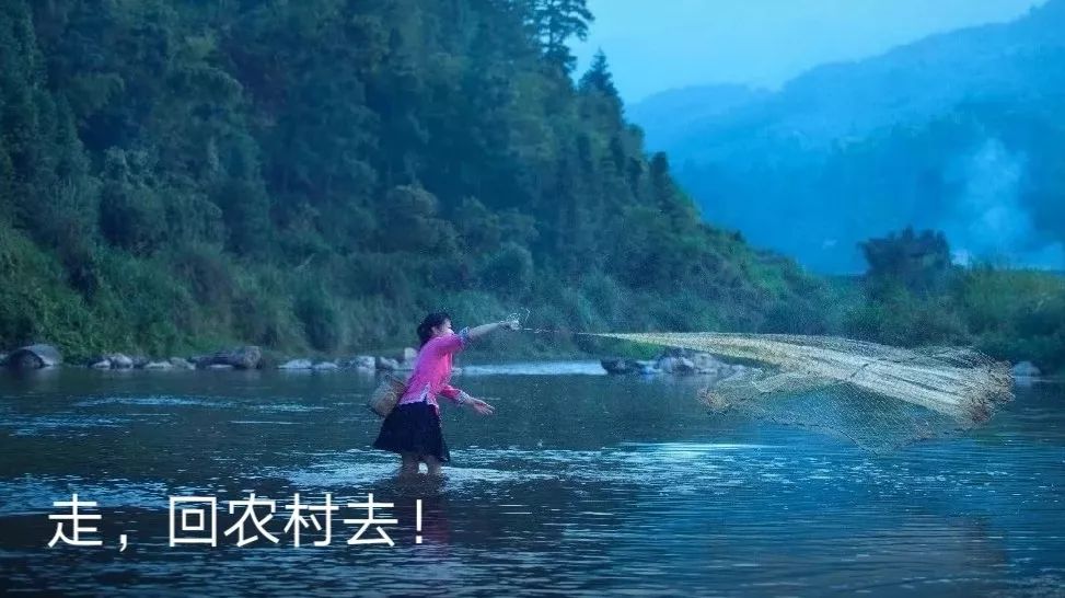 零差评地走出影院,生活依然写满了差评