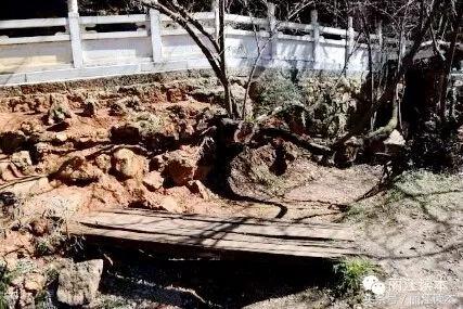 黑龙潭水位恢复没,黑龙潭水位恢复了吗