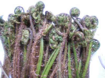 自然成熟无公害菜,纯绿色无污染菜