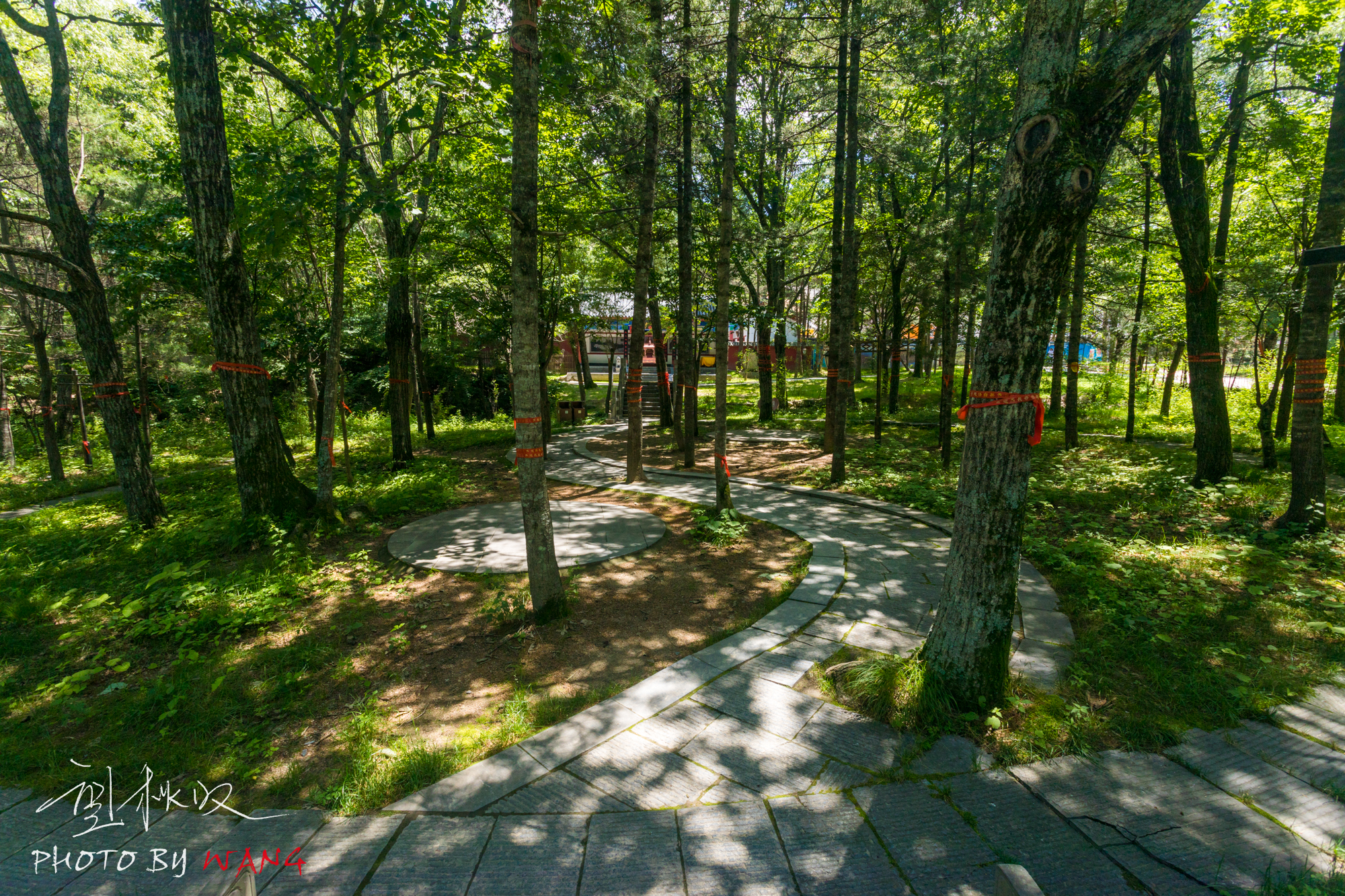 自带空调的白云山，人在画中游，水在空中舞