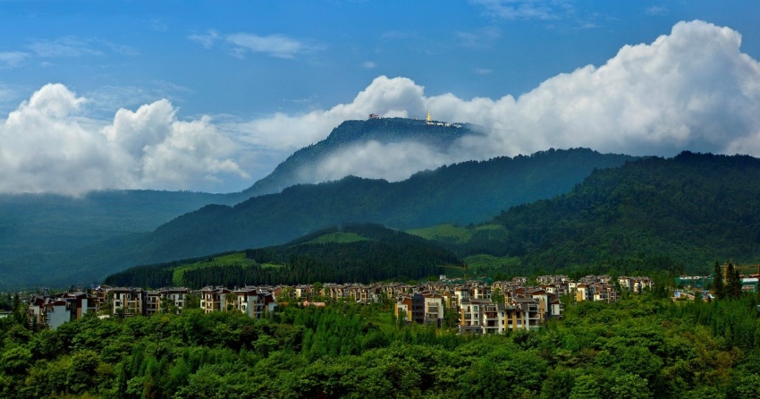 大揭秘历史解析,大揭秘怎么样