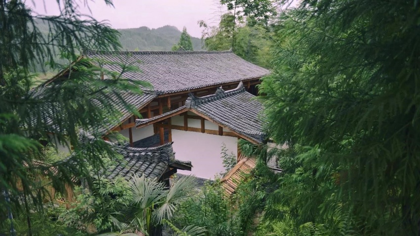 大揭秘历史解析,大揭秘怎么样