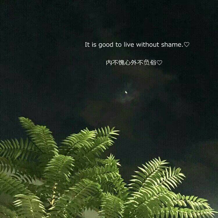 2018年微信经典句子句句穿心,朋友圈的经典句子给你面子霸气